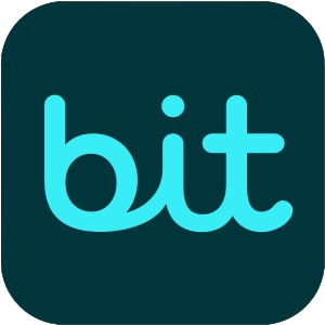 Bit